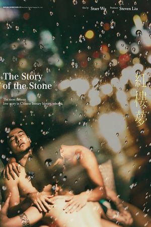 The Story of the Stone's poster