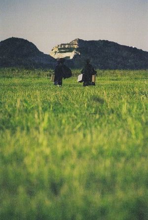 The Handmaiden's poster