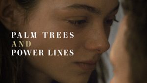 Palm Trees and Power Lines's poster