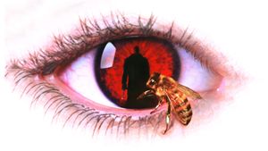 Candyman's poster
