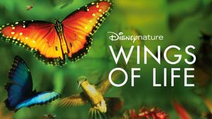 Disneynature: Wings of Life's poster