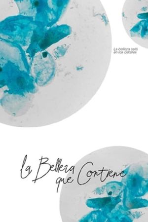 La belleza que contiene's poster