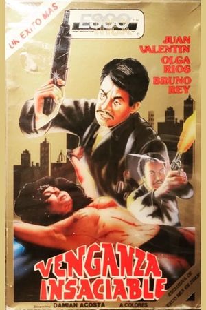 Vengeance of the Punks's poster