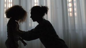 The Unknown Woman's poster
