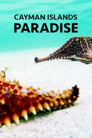 Cayman Islands: Paradise's poster image