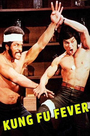 Kung Fu Fever's poster