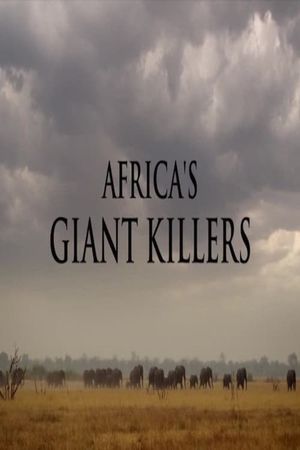 Africa's Giant Killers's poster