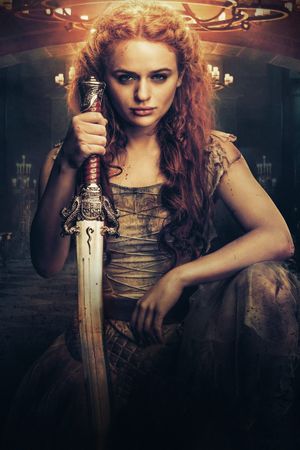 The Princess's poster