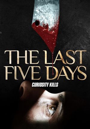 The Last Five Days's poster