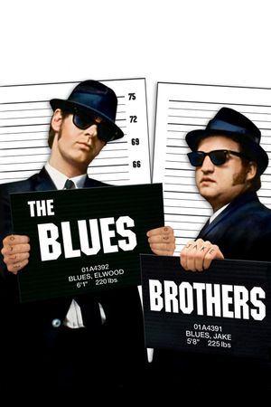 The Blues Brothers's poster image