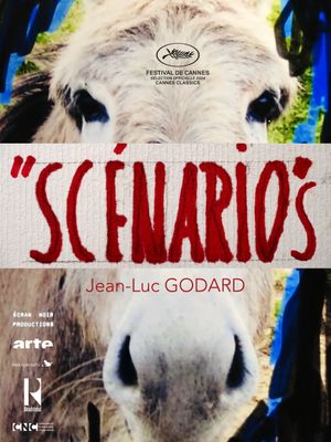 Scénarios's poster