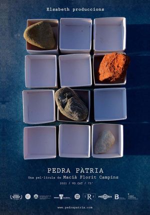 Pedra pàtria's poster