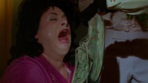 Polyester's poster