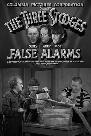 False Alarms's poster