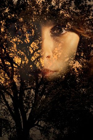 O Segredo de Sara's poster