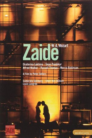 Zaide's poster