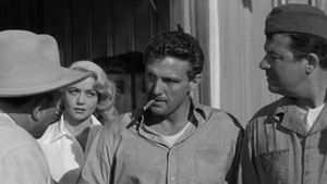 The Tarnished Angels's poster