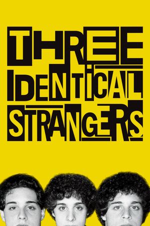 Three Identical Strangers's poster