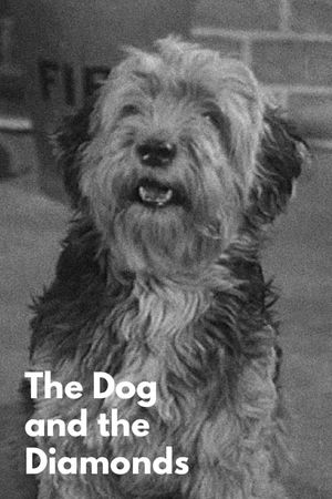 The Dog and the Diamonds's poster