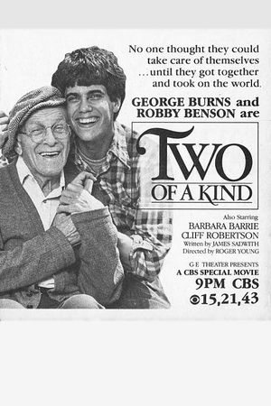 Two of a Kind's poster