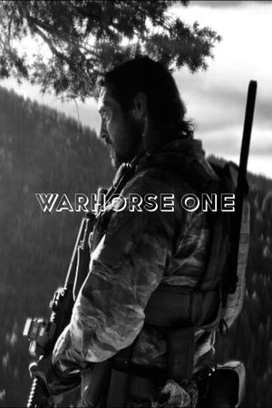 Warhorse One's poster