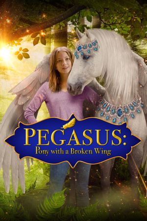 Pegasus: Pony with a Broken Wing's poster image
