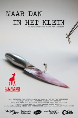 Maar dan in het klein's poster