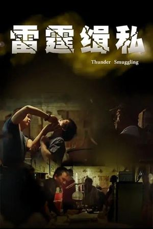 雷霆缉私's poster image