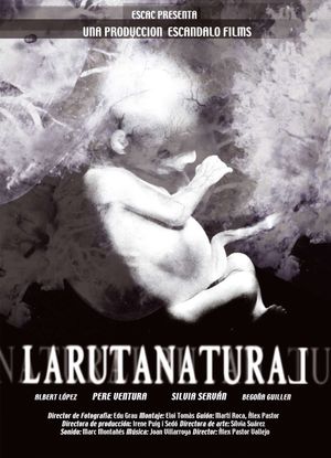 The Natural Route's poster
