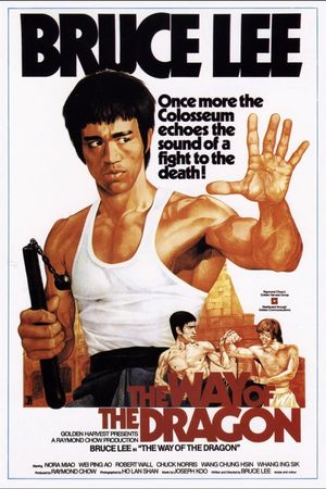 The Way of the Dragon's poster
