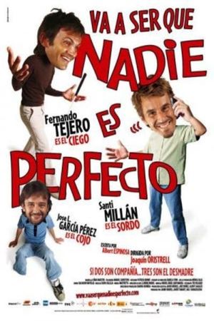 Nobody Is Perfect's poster