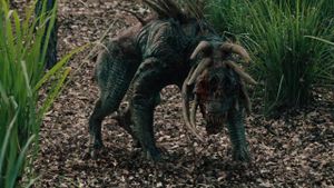 Predators's poster