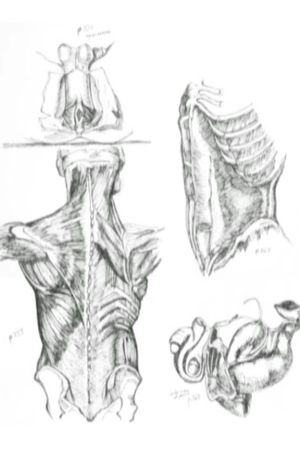 Médicalement's poster