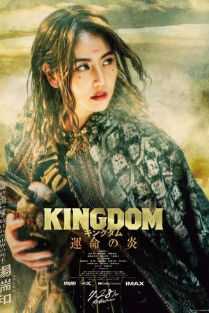 Kingdom 3: The Flame of Destiny's poster