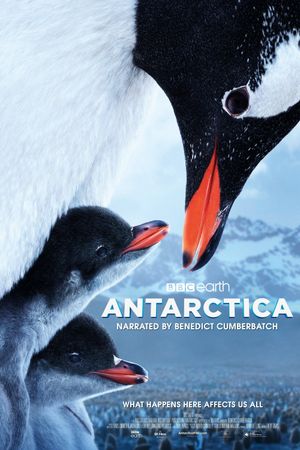Antarctica's poster