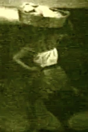 Washerwoman's poster
