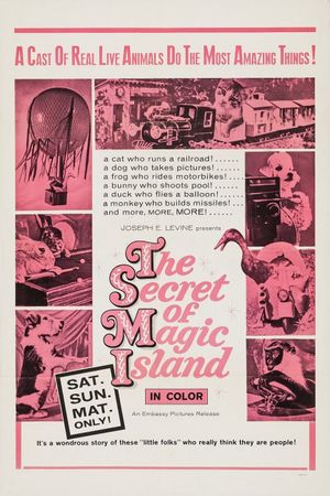 The Secret of Magic Island's poster
