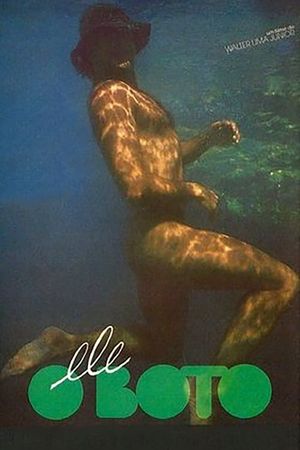 The Dolphin's poster