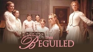 The Beguiled's poster