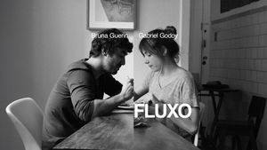 Fluxo's poster
