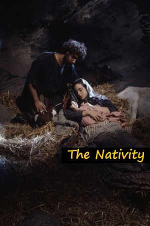 The Nativity's poster