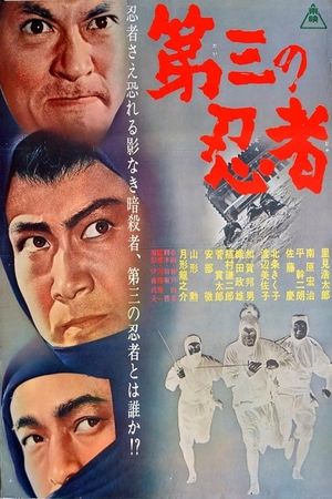 The Third Ninja's poster