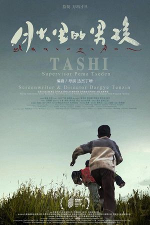 Dog Tashi's poster