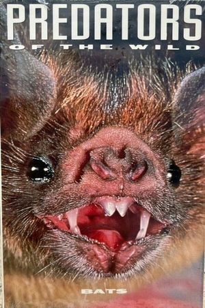 Predators of the Wild: Bats's poster