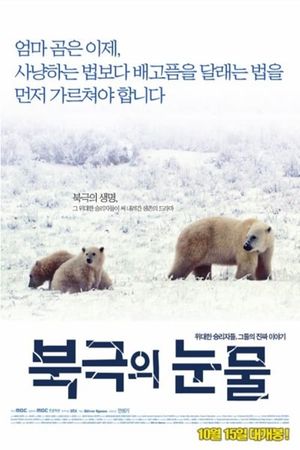 Tears in the Arctic's poster