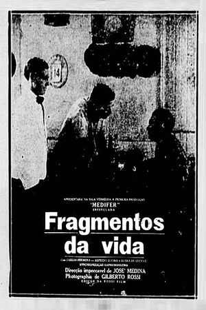 Life's Fragments's poster