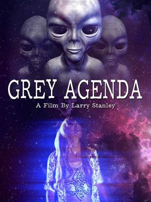 Grey Agenda's poster