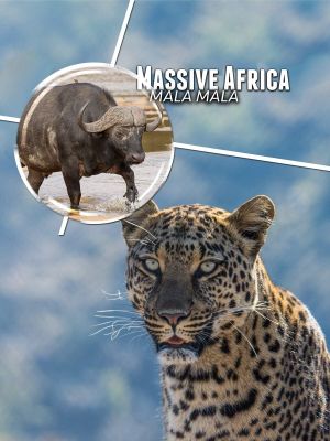 Massive Africa: Mala Mala's poster