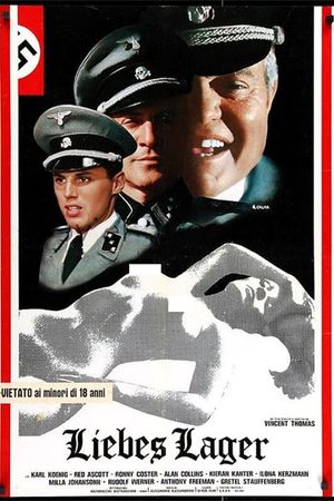 Liebes Lager's poster