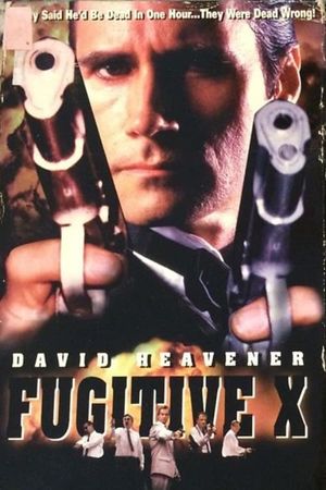 Fugitive X: Innocent Target's poster